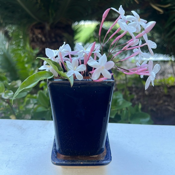 Vintage Glazed Ceramic Pot with Saucer - Picture 3 of 16